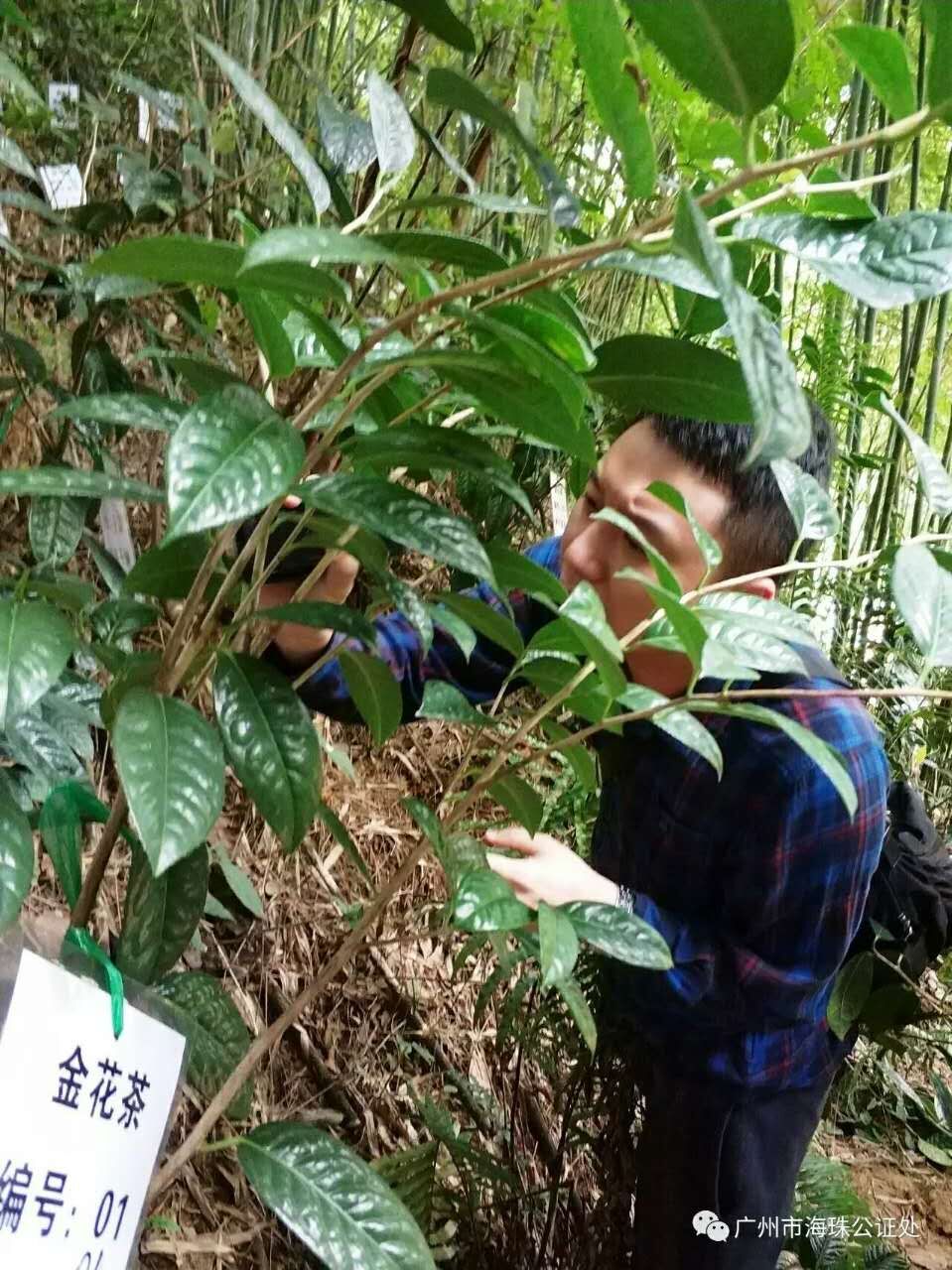 山地保全证据3.jpg